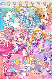 Wonderful Precure! 2024 Sub Indo IDLIX LK21 INDOXXI