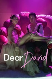 Dear David 2023 Sub Indo IDLIX LK21 INDOXXI