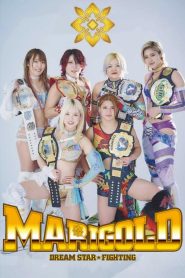 Dream Star Fighting MARIGOLD 2024 Sub Indo IDLIX LK21 INDOXXI