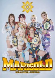 Dream Star Fighting MARIGOLD 2024 Sub Indo IDLIX LK21 INDOXXI