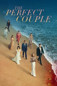 The Perfect Couple 2024 Sub Indo IDLIX LK21 INDOXXI