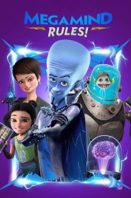 Megamind Rules! 2024 Sub Indo IDLIX LK21 INDOXXI